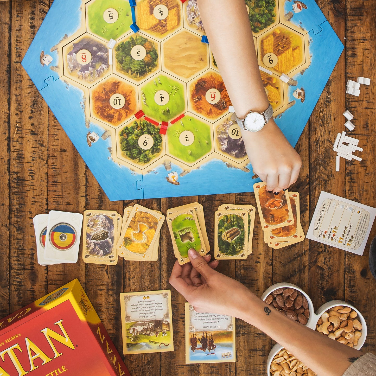 Catan image 3