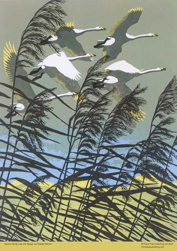Adult Jigsaw Puzzle Robert Gillmor: Swans Flying over the Reeds (500 pieces) by: Jigsaw; 1 pages / English