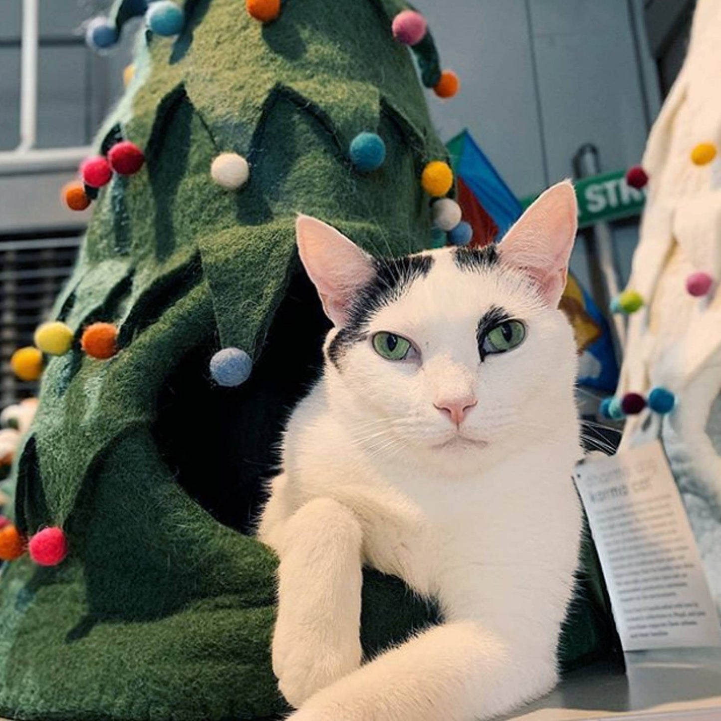 Holiday Tree Wool Pet Cave: White