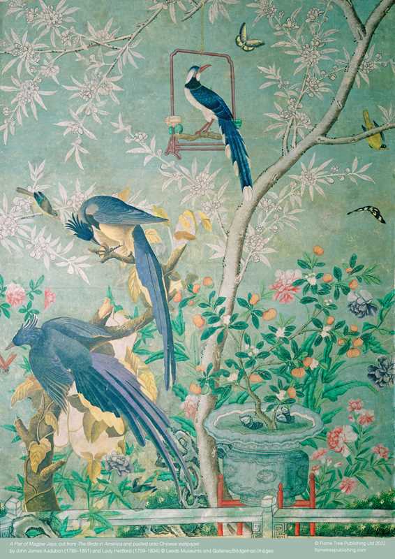 Adult Jigsaw Puzzle John James Audubon: Magpie Jays (500 pieces) by: Jigsaw; 1 pages / English