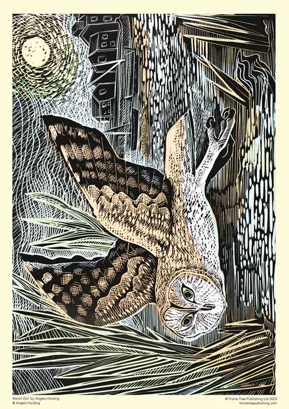Adult Sustainable Jigsaw Puzzle Angela Harding: Marsh Owl by: Jigsaw; 1 pages / English